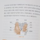 (주)운동의 정석 이미지