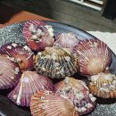 준이네식당