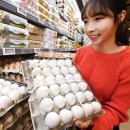 홈플러스 이미지