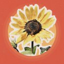 pet31로4356 이미지