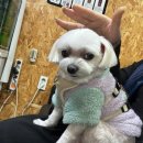 누리카센타 이미지