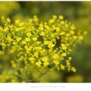 펜션 마타리 이미지