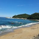 장호초교 이미지