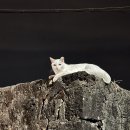 동호농산