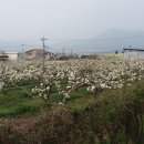 주암민박 이미지