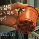 멋스타일 네이버블로그