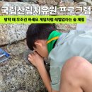 한국산림아카데미재단 | 국립산림치유원 프로그램 아이들이 게임처럼 빠진 숲 활동 50레벨 배지 도전 후기