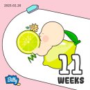 삼성미즈 앞 이미지