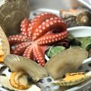 연안애견 이미지