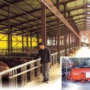 한우 수정소 이미지