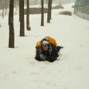 아싸가오리 이미지