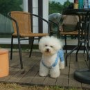 마린독스 이미지