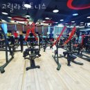 고릴라 휘트니스 | 안중헬스장 고릴라휘트니스 추천