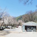 포레스트 캠핑장 이미지