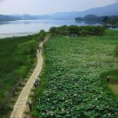 세심촌가 이미지