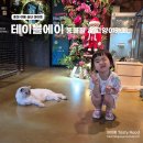 홍대 여름 실내 데이트 동물원 고양이카페 테이블에이