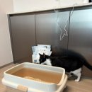 두부두부 이미지