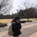 츄츄바앤츄밥 이미지