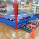 국가대표 복싱다이어트클럽 이미지