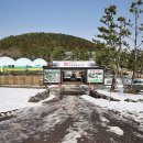 토종흑염소 이미지
