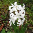 온달농장 이미지