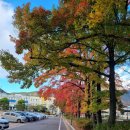 진해여자고등학교 이미지