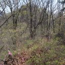 매봉휴게소 이미지