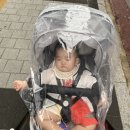 (자랑이 47주차) 베이비마사지졸업,장마,베비이룸설치,장난감추가,집콕
