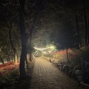 산호동136 이미지