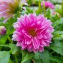 천안우리요양병원 이미지