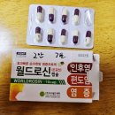 호약국 | 목이간질간질하면 기관지염 인후염의심/목감기약국약추천/내돈내산