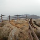 남해-162 이미지