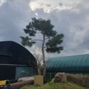 수목공인중개사사무소 이미지