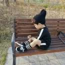 뽀데나 이미지