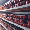 내기농장 이미지