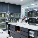 레미 동물병원 이미지