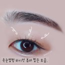 세븐일레븐 인천리베라움점 | 부평역 도도아이래쉬 속눈썹펌 100% 리얼후기