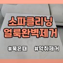 연무어린이집 | 부평 소파 클리닝 후기! 얼룩제거와 묵은때 청소로 악취까지 완벽해결