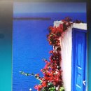 고색여관 이미지