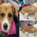 최석주내과의원 이미지