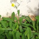 천안봉서중학교 이미지