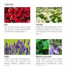 참견(犬) 네이버블로그