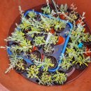 플렉스허브 이미지