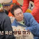 도전목장 이미지