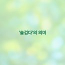 슬겁다 이미지