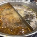 호암대로 | 샤브연리지 충주호암점 충주맛집 가족과 함께 가기 좋은 소고기 무한리필 샤브샤브 내돈내산 솔직후기