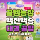 알리익스프레스 꿀템농장 대결 모두 다 이긴 꿀팁