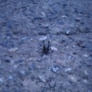 현대자동차(도량점) | 물 위로 종소리가 울리는 절, 수종사