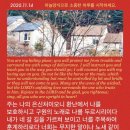 생명나무 이미지