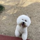 러스틱라운지 이미지